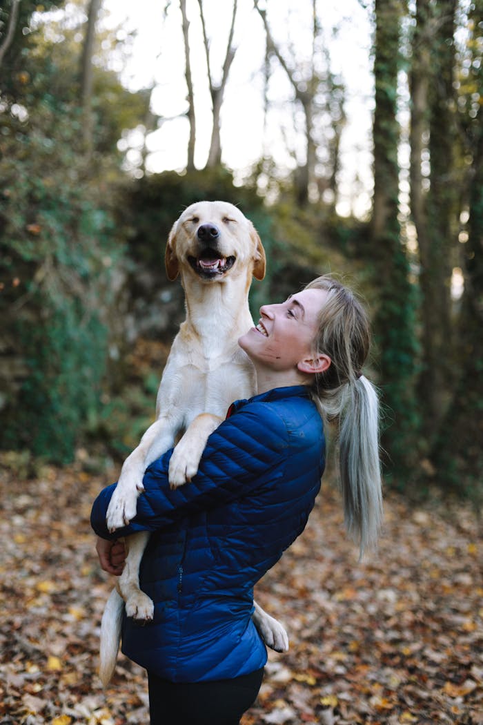 services-02 A woman joyfully hugs her Labrador Retriever in a serene autumn forest scene.