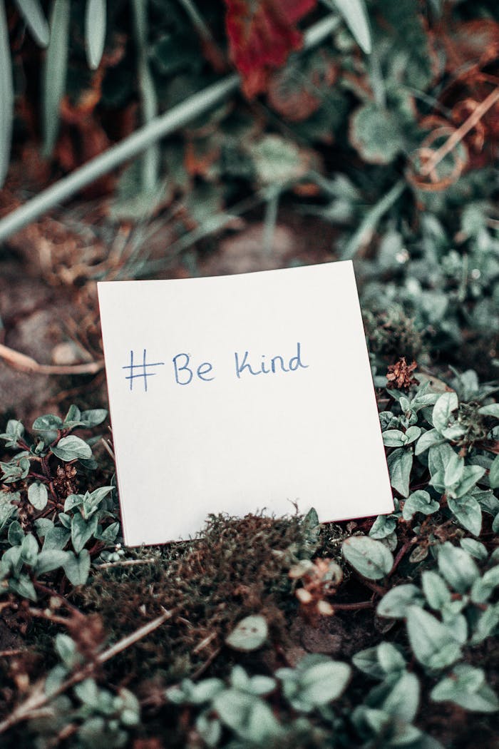 The Art of Drawing Readers In: Your attractive post title goes here Close-up of an inspirational note with 'Be Kind' hashtag placed on lush green grass.